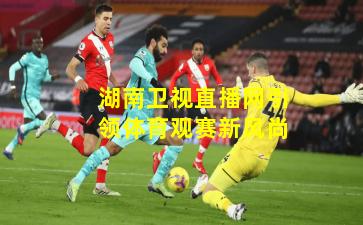 湖南卫视直播网引领体育观赛新风尚