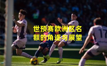 世预赛欧洲区名额的角逐与展望